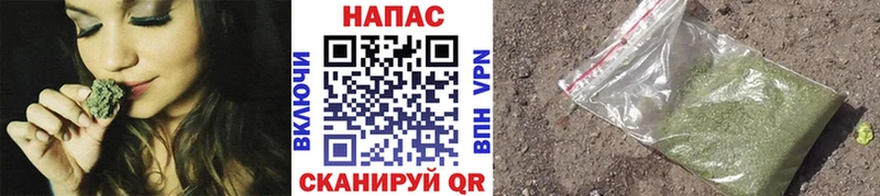Где купить наркотики Пушкино Каннабис  Меф мяу мяу  Cocaine  ГАШ 