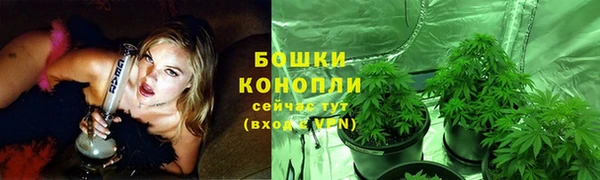 мдпв Верхний Тагил
