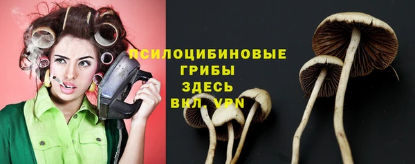 мдпв Верхний Тагил
