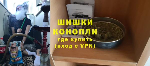 мдпв Верхний Тагил