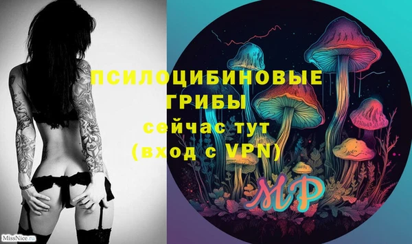 прущая мука Верея