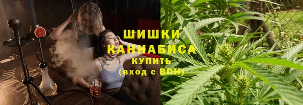мдпв Верхний Тагил